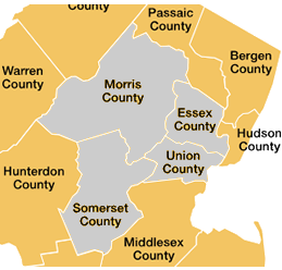 Buckingham Homes For Sale Search Find Homes in Buckingham Morris, Union, Essex and Somerset County Real Estate MLS Search Randolph